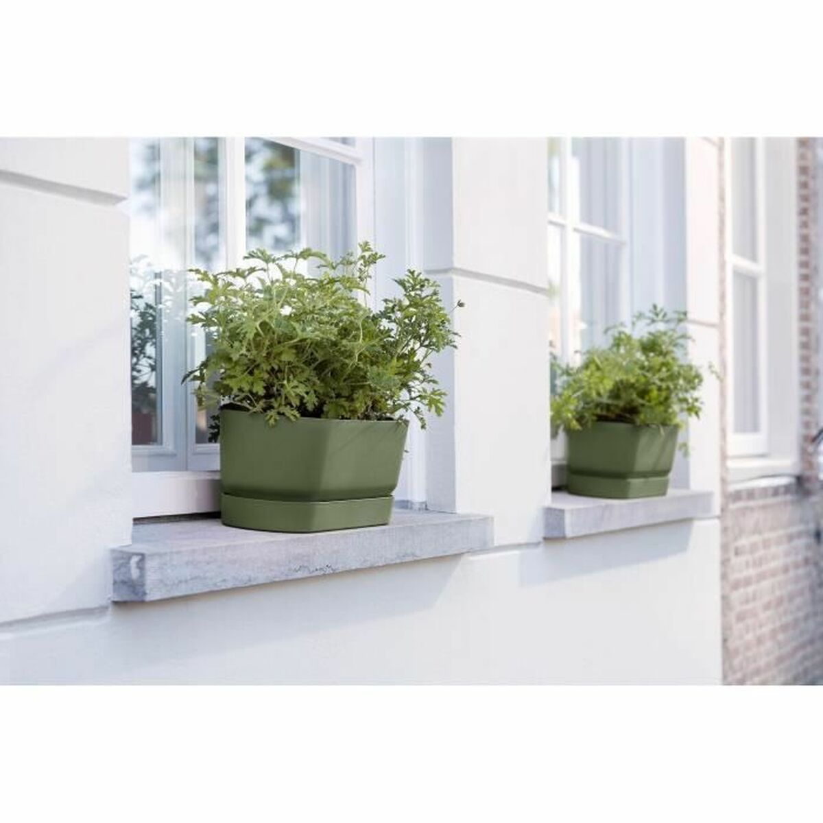 Blumenkasten Elho 50 cm Schwarz Kunststoff